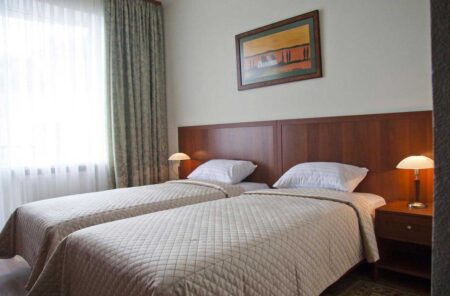 Ре Віта, Двухместный Стандарт TWN - revita-hotel-twin-room-with-twin-beds-4.jpg