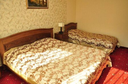 Жайворонок, Люкс С двокімнатний тримісний - zakarpattya-zhayvoronok-suite-s-2-01.jpg